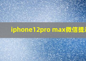 iphone12pro max微信提示音